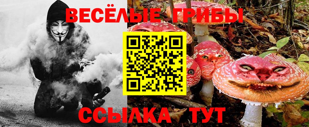 Костомукша  Галлюциногенные грибы мухоморы  Вход с VPN 